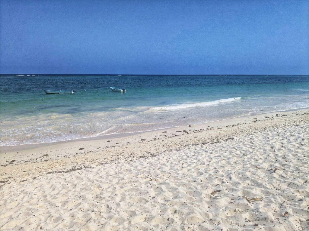 Spokojna piaszczysta plaża i Ocean Indyjski na Wasini Island.
