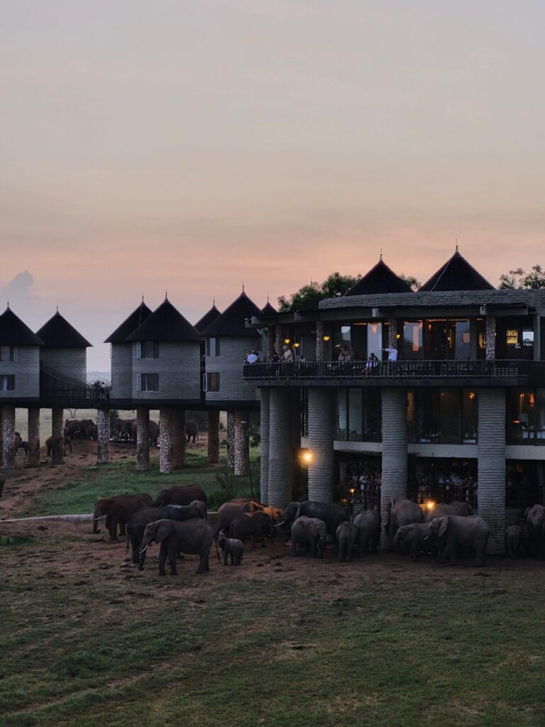 Budynek safari lodge położony pośród krajobrazu kenijskiej sawanny.