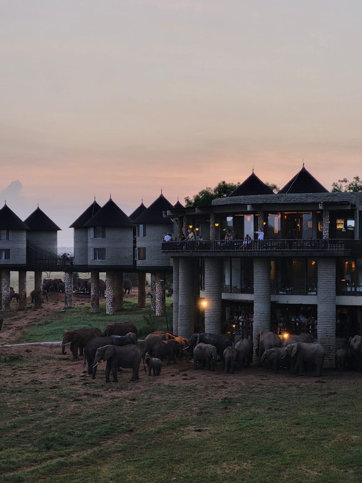 Safari lodge położony w otoczeniu kenijskiej przyrody