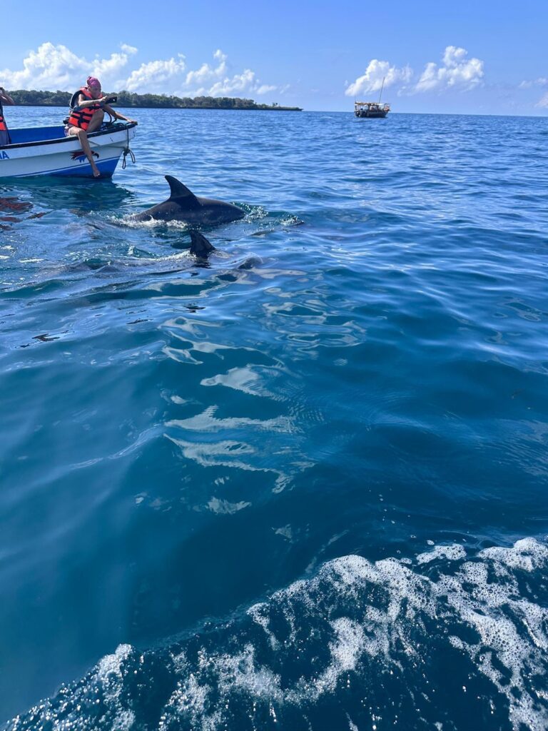 Snorkeling w turkusowych wodach Oceanu Indyjskiego przy Wasini Island.