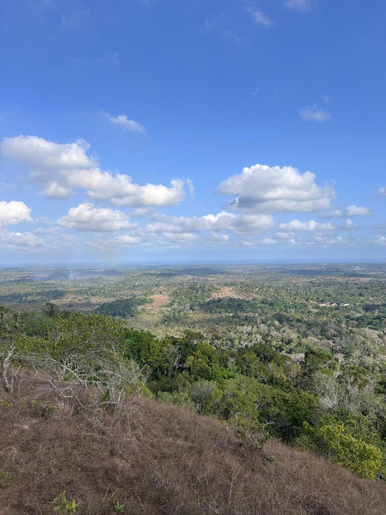 Widok z wysokości na zielony krajobraz rezerwatu Shimba Hills.
