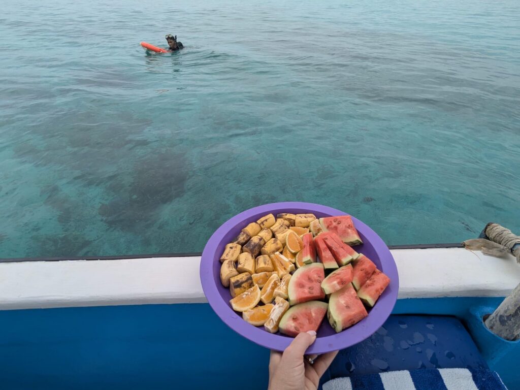 Widok z łodzi na turkusowe wody Oceanu Indyjskiego przy Wasini Island.