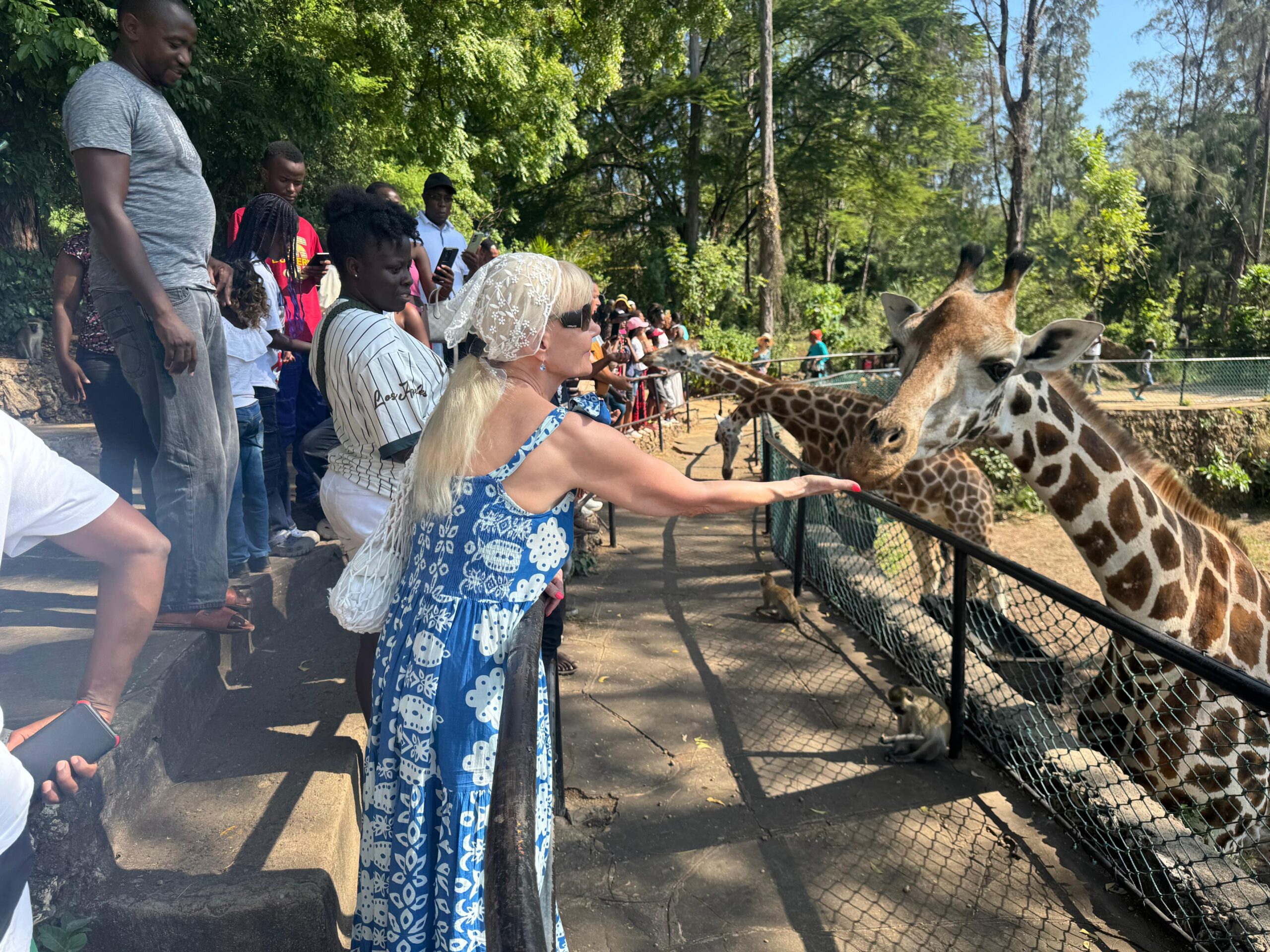 Zwiedzanie Haller Park podczas wycieczki w Mombasie