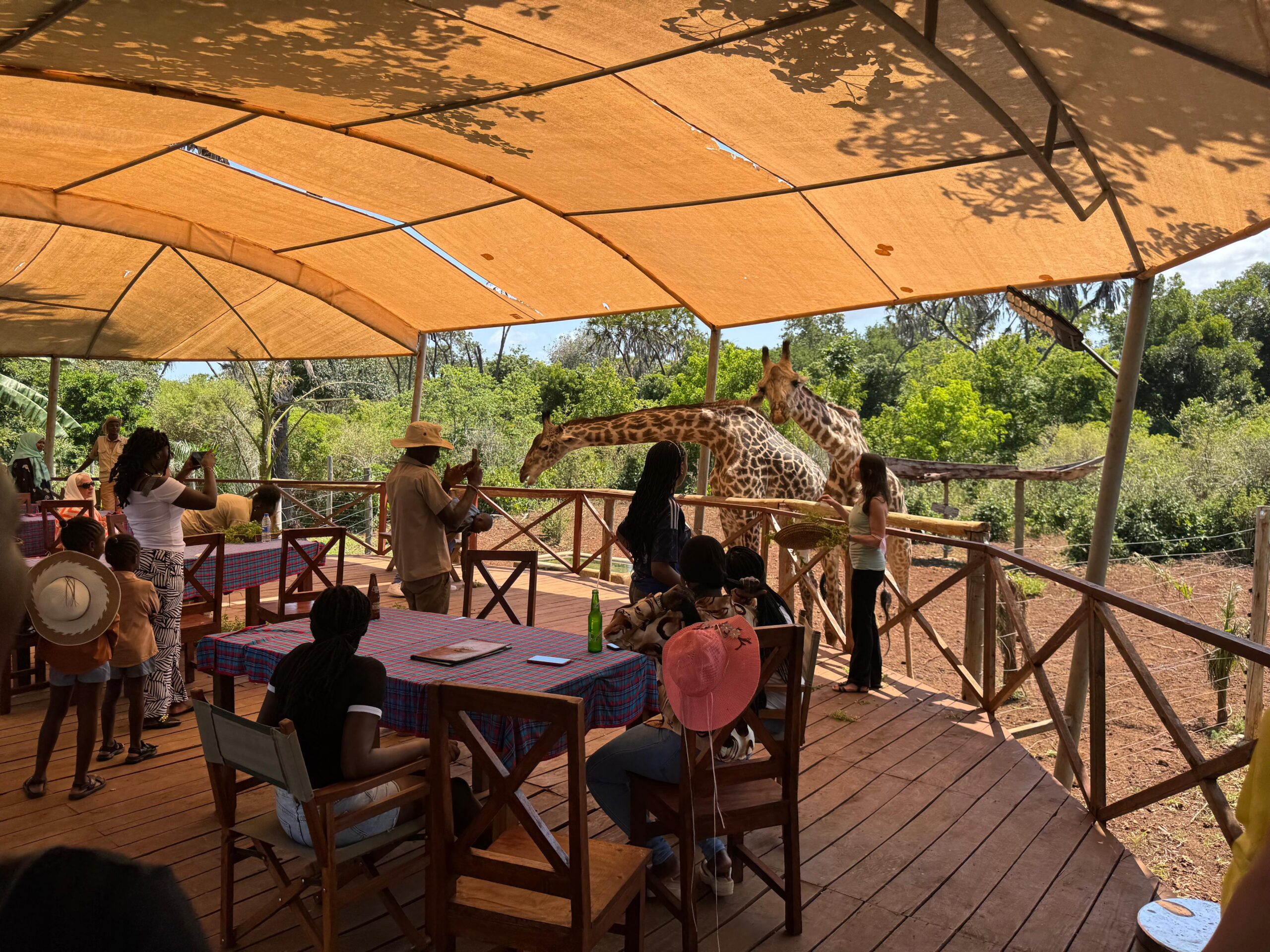 Żyrafa przy restauracji w Bora Bora w Kenii
