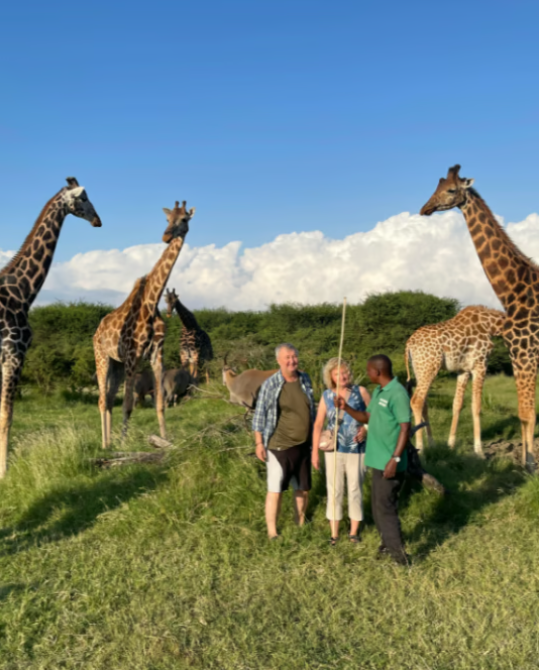Turyści wśród żyraf w Nguuni Nature Sanctuary niedaleko Mombasy w Kenii